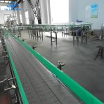 Variable Speed Control Bottle Conveyor Systems , Bottle Transfer Conveyor 45m