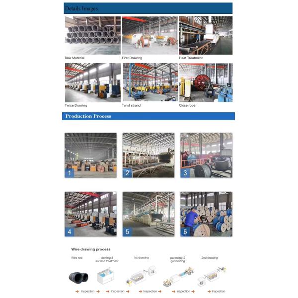 Carbon Steel 45 60 70 Grade Galvanized Steel Strand Wire/ Stay Wire/ Guy Wire for Special in Manufacturing