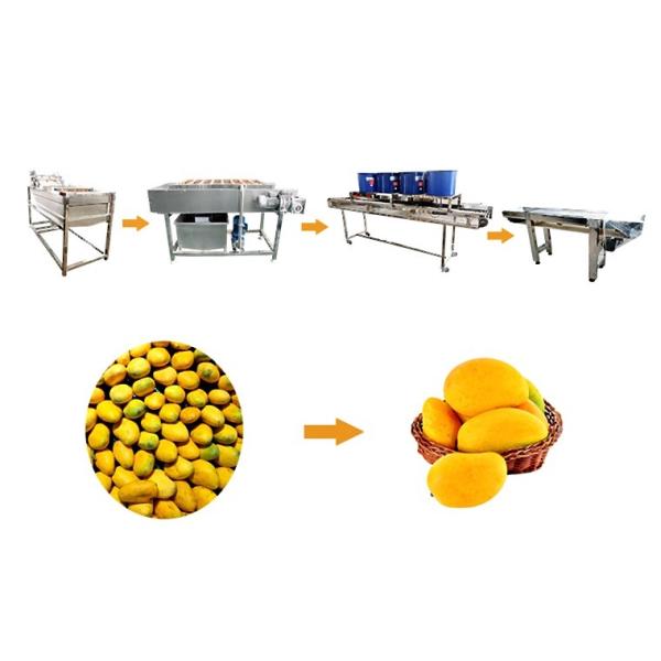 Quality Continuous Food Drying Machine Fruit Bubble Washing Processing Line for sale
