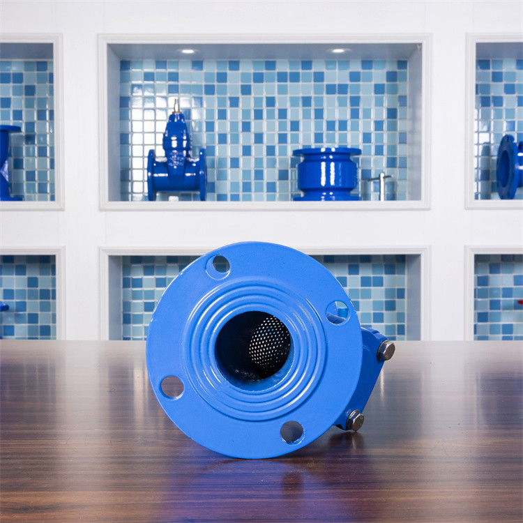 Water Meter Cast Iron Y Filter Strainer Valve GGG50 DN80 Front Filter Tank
