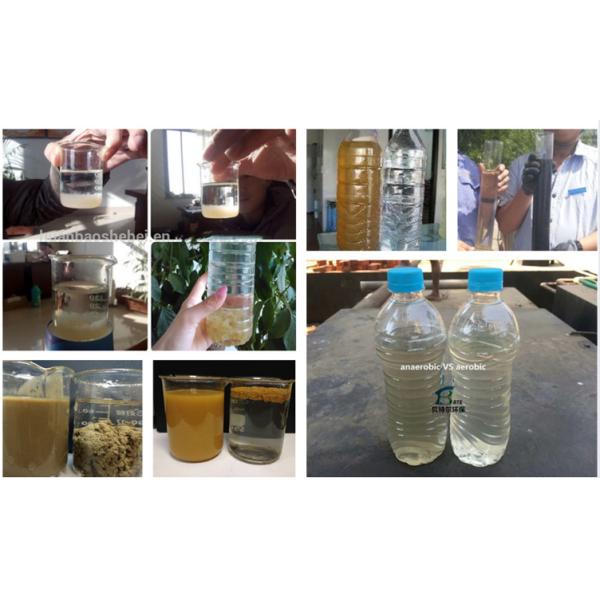 Improve Sewage Treatment with AS Model Dissolved Air Float Machine Capacity 1-500m3/h