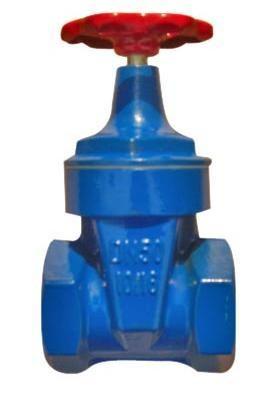 Quality Ductile Iron GGG40 Thread End Resilient Seated Gate Valve for sale