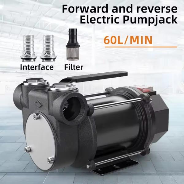 Small Automatic 12V/24V Electric Diesel Oil Pump Customizable OEM & ODM Supported