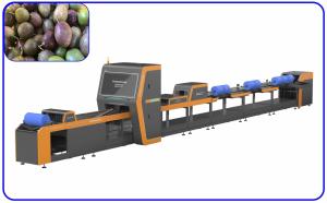 Buy cheap Sophisticated Simple Passion Fruit Sorting Machine 7.55W 1 Channel Intelligent product