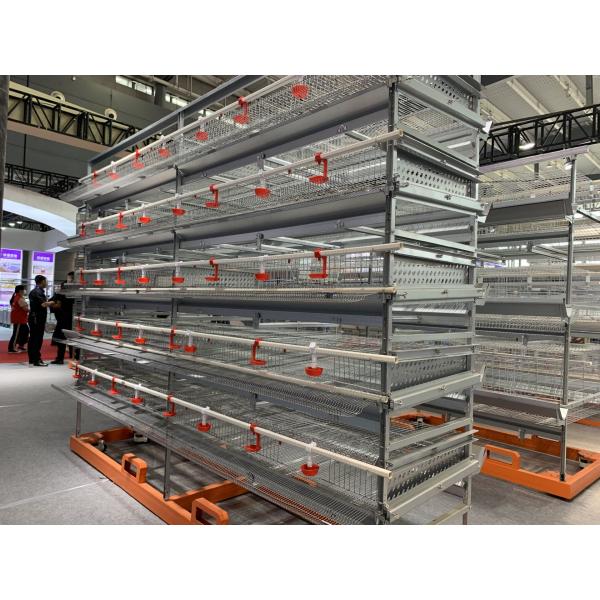 Q235 Layer Chicken Cage