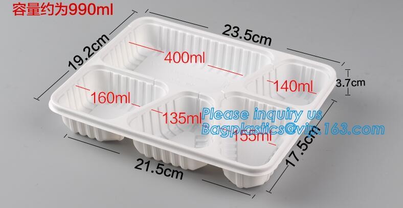Blister large clear plastic fruit container with lid for fruit packaging,blister fruit box /container/ fruit Tray/ Clear