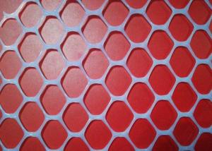China 30X30mm 450g sqm Plastic Netting Mesh on sale