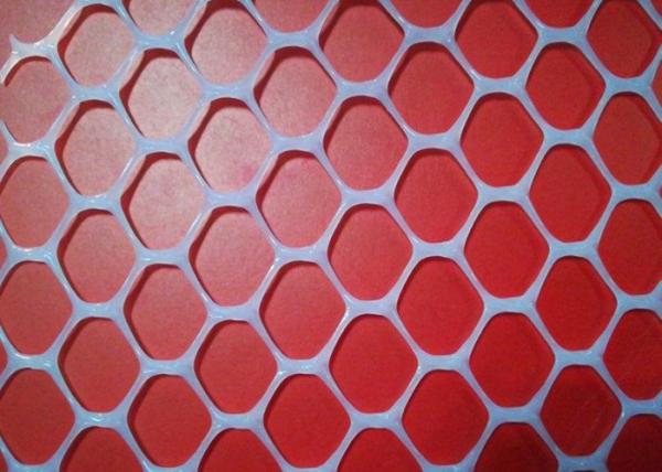 Quality 30X30mm 450g sqm Plastic Netting Mesh for sale