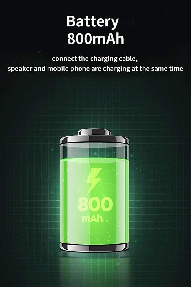 Bluetooth V5.0 Wireless Charger Speaker Support Audio Formats Converting
