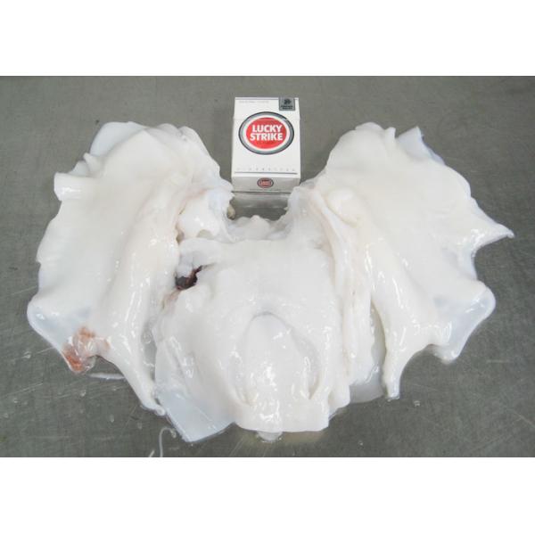 Neck Meat Dosidicus Gigas Bqf Export To Thailand Squid Neck Of Peru