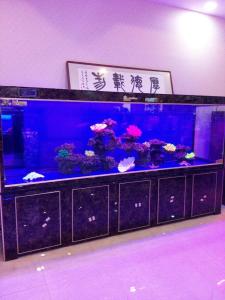 aquarium fish tank, float glass aquarium, custom made, Chinese factory price, fast lead time and with excellent quality