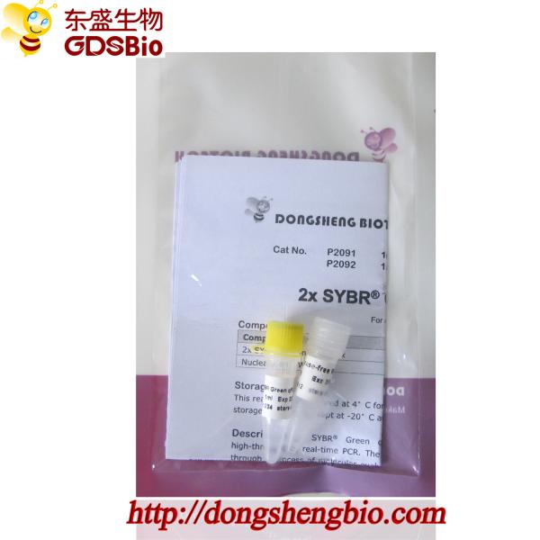 Quality SYBR Green qPCR Mix for Roche Biorad DNA real time PCR 5ml for sale