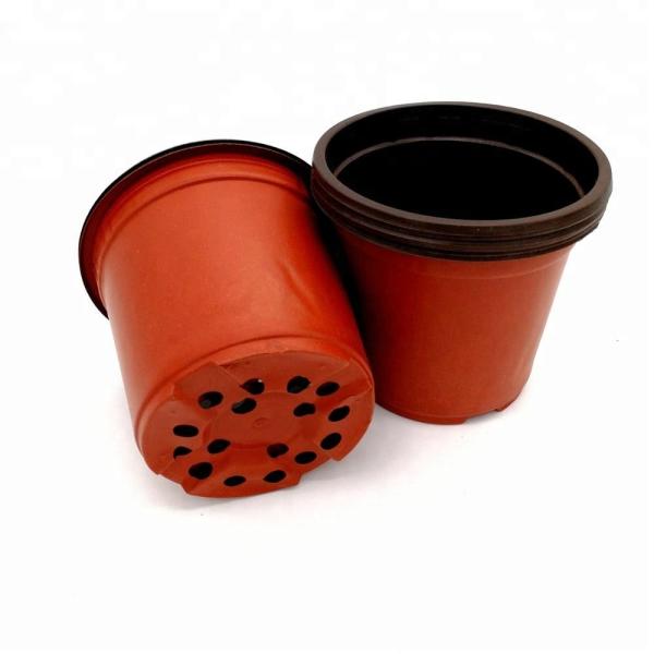 Quality PP Sun  15cm Width Plastic Flower Pots 12 Drainage Holes for sale