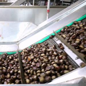 Buy cheap Stainless Steel Inshell Chestnut Sorting Machine With 2.5 Tons Capacity product