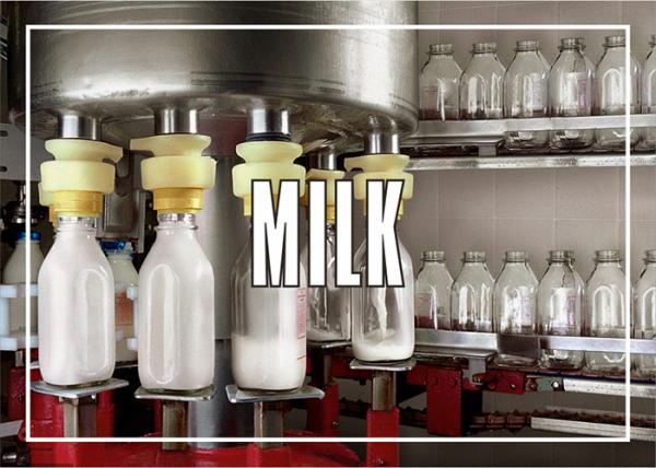 Quality Industrial Coconut  Milk Processing Line SS304 turnkey 3T/H Capacity for sale