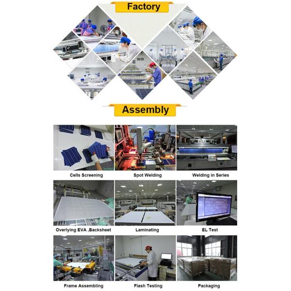 Trina / Yingli / Jinko / Suntech 250W Solar Panel Price
