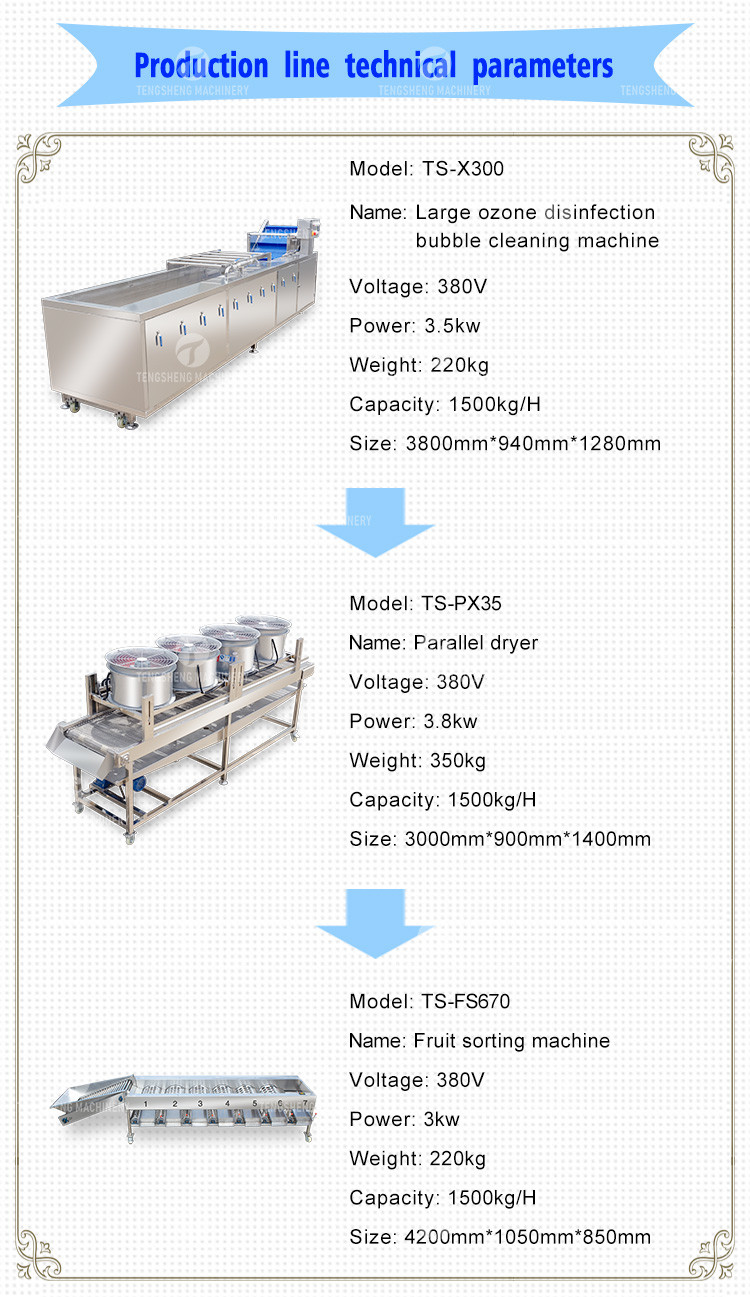 Passion Fruit Bubble Cleaning And Drying Sorting Production Line