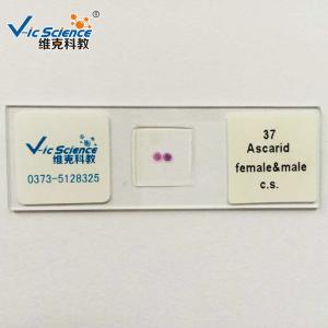 Buy cheap Students Set 25.4mm X 75.2mm Prepared Microscope Slides product