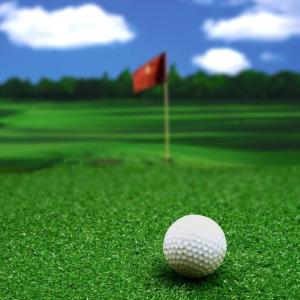 15mm Artificial Backyard Putting Green Synthetic Gym Flooring Residential