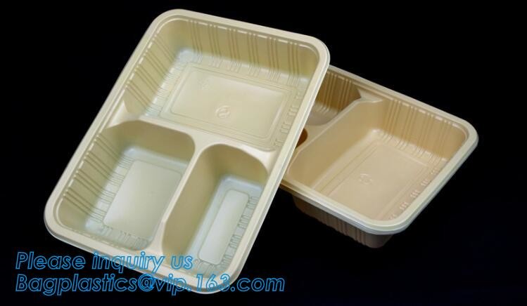 Blister large clear plastic fruit container with lid for fruit packaging,blister fruit box /container/ fruit Tray/ Clear