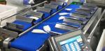 PLC Control System 12 Head Combination Weigher For Squid Cone Quail Eggs