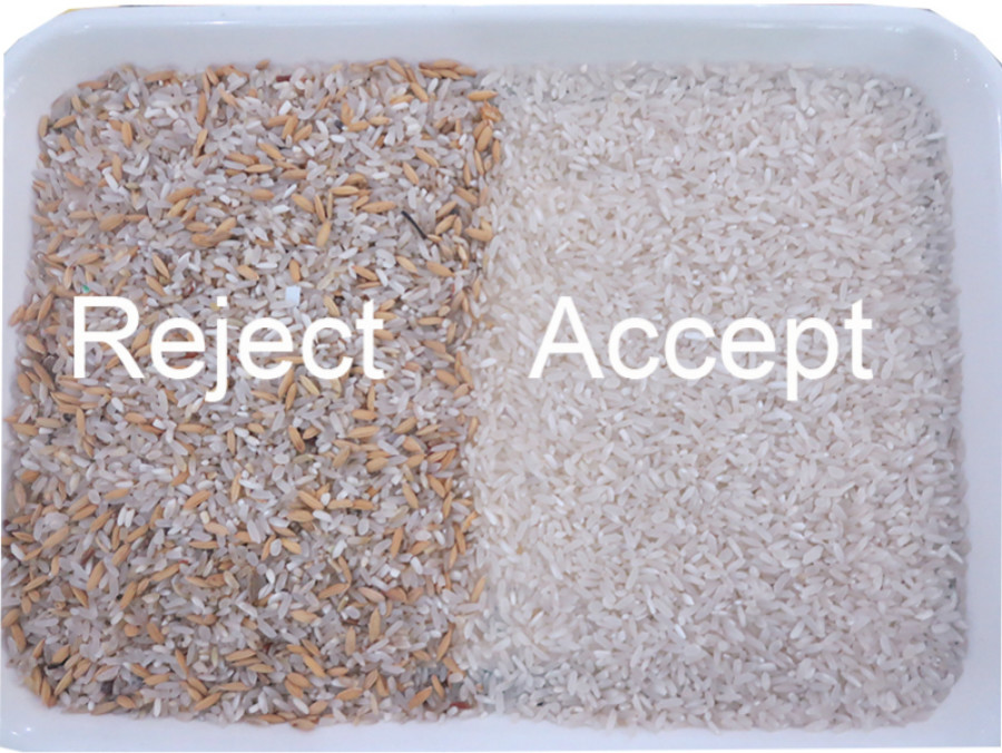 China Rice Color Sorter High quality CCD Rice Color Sorter Optical Rice Sorting Machine