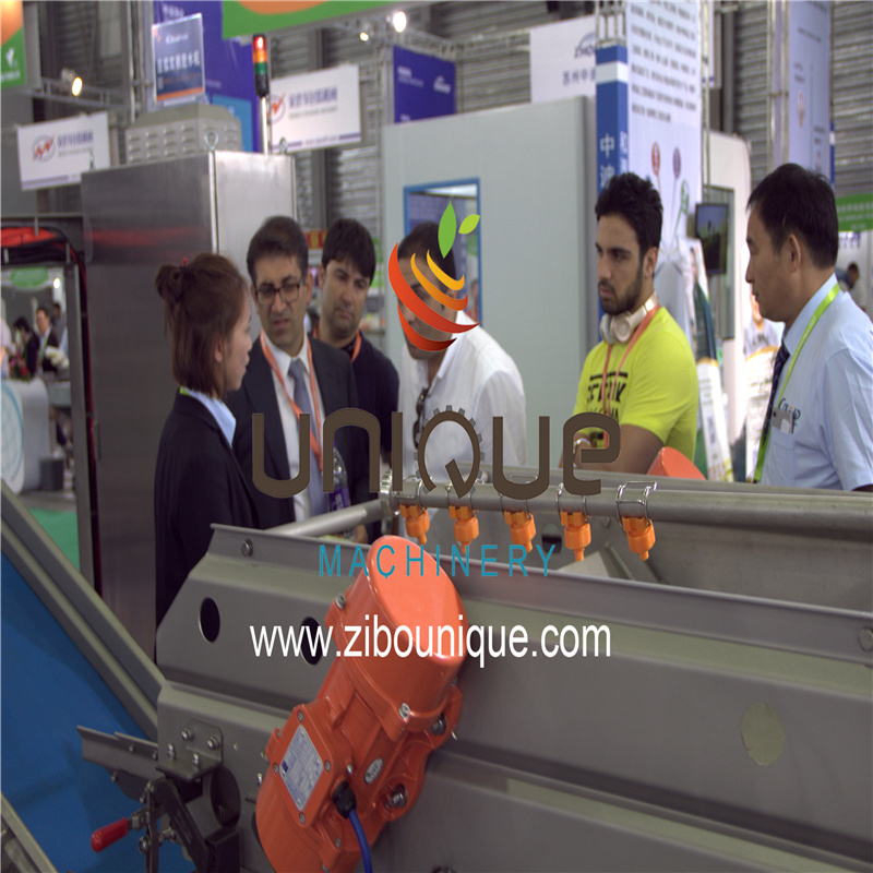 Video Technical Support Meat Slicer for Fresh Beef Jerky and Mutton Cutting Machine