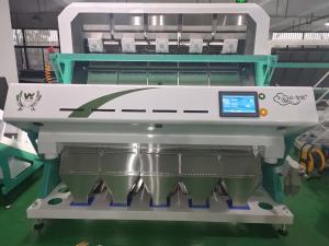 Long Lifetime Peeled Garlic Sorting Machine 4000kg/h high Throughput