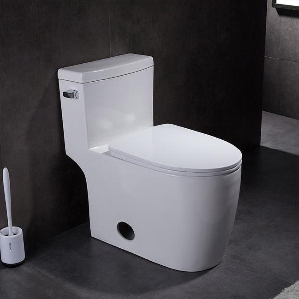 IAPMO CUPC Toilet Bowl 1 Piece Super Quiet Commode Powerful Flushing Round