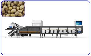 Silver Sorting And Grading Machine