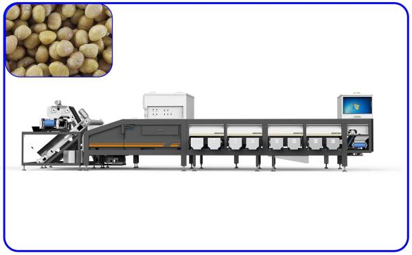 Quality Silver Sorting And Grading Machine for sale