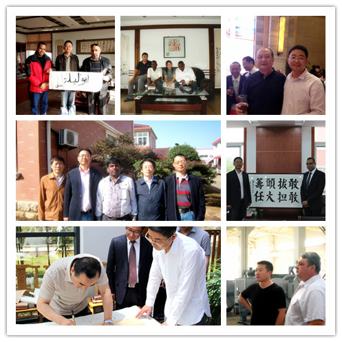 Cummins 118kw Hydraulic Tensioner German Rexroth 90kN 9T for 2 conductors works together