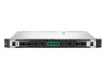HPE ProLiant DL20 Gen11 HPE Storage Server Rack Server