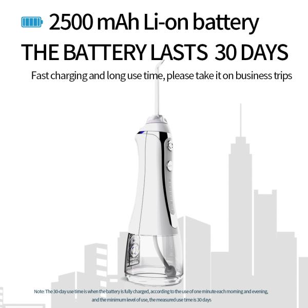 ODM Dental Hygiene Instrument , Oral Irrigator Water Flosser With 0.24L Tank