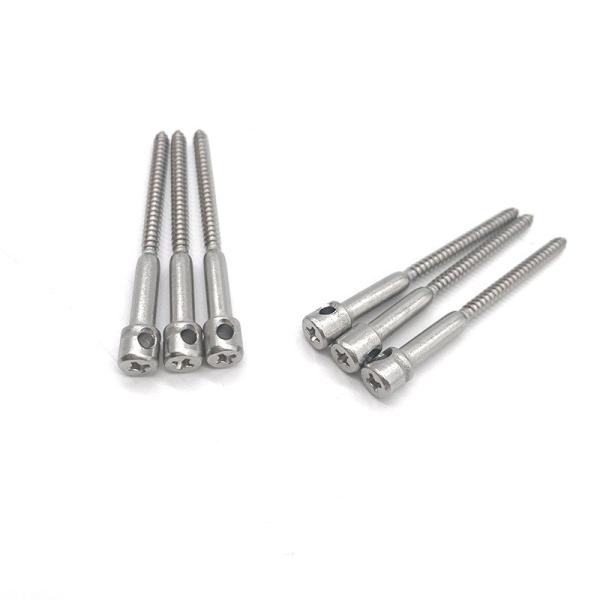 Nickel plating sealing screws Electric meter sealing screws Sealing screws Stainel Cheese head sealing screw M4 Lead Seal Screws Electric Meter Screw Nail Seal Table Bolts with Hole Stainless Steel Bolt 8mm-50mm Length - (M4x45mm