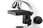 Economic Optical Light Microscope , Monocular Compound Light Microscopy