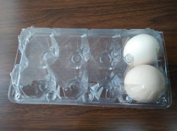 Quality Clear transparent plastic tray for eggs for sale