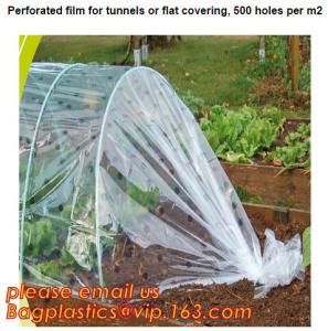 China plastic tomatoes home garden polytunnel greenhouse film,Film Covering Tomato Planting Greenhouse,agricultural TUV polyet on sale