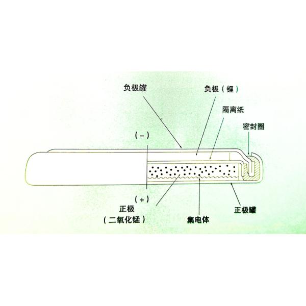 3.0V 240mAh CR2032 Maxell Panasonic Lithium Ion Rechargeable Batteries Coin Button