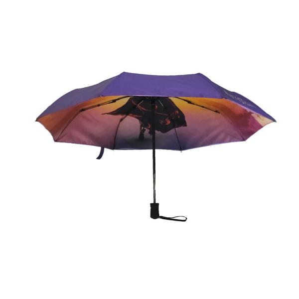 Quality Auto Open Double Layer 21"*8K Windproof Travel Umbrella for sale