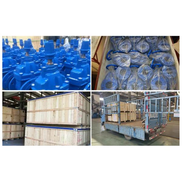 ANSI 150LB PN16 Ductile Iron Resilient Seat Cast Iron Gate Valve For Water Treatment