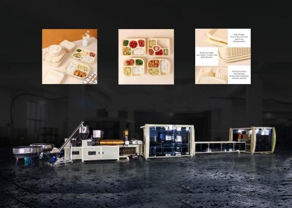 Quality Disposable Plastic Food Container Making Machine Full Automatic 60 Mode Min for sale