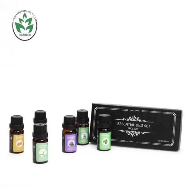 Quality 10ML 6pcs Aromatherapy Essential Oil Set Pure Natural Customized for sale