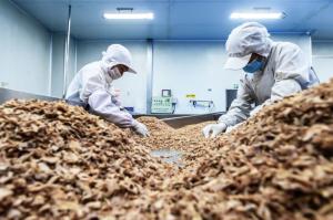 China Trimmed Palm Oil Crispy Fried Onion For Burgers on sale