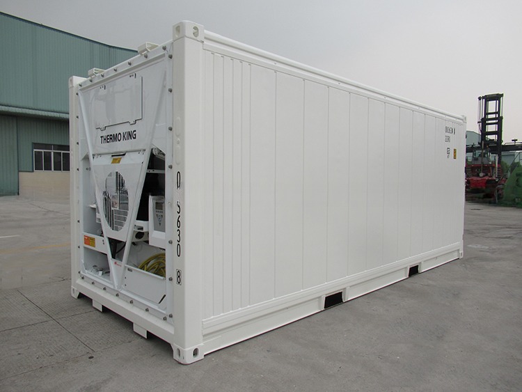 20ft Reefer Container Thermo King Refrigerated Cooler with External Dimensions 606*244*259mm and 32CBM Capacity