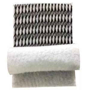 HDPE Mesh 3D Composite Drainage Composite Geo Net Geonet for Durable Drainage Solution