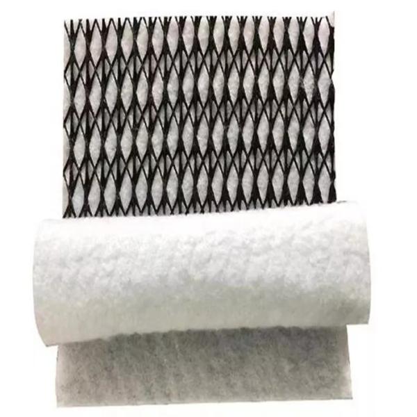 Quality HDPE Mesh 3D Composite Drainage Composite Geo Net Geonet for Durable Drainage Solution for sale