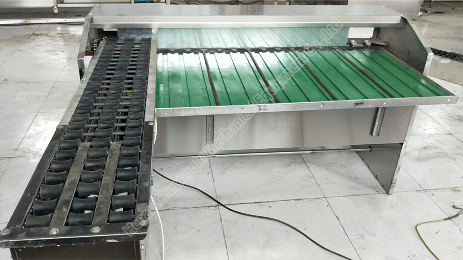 Egg Grade Machine Egg Sort Machine Egg Grader Egg Grader Machine