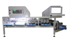 Buy cheap 380V 50Hz Mechanical Almonds Sorting Machine 6 Channel AI Sorting product