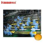 Automatic Orange Cell Making Machinery Automatic Juicer Machine